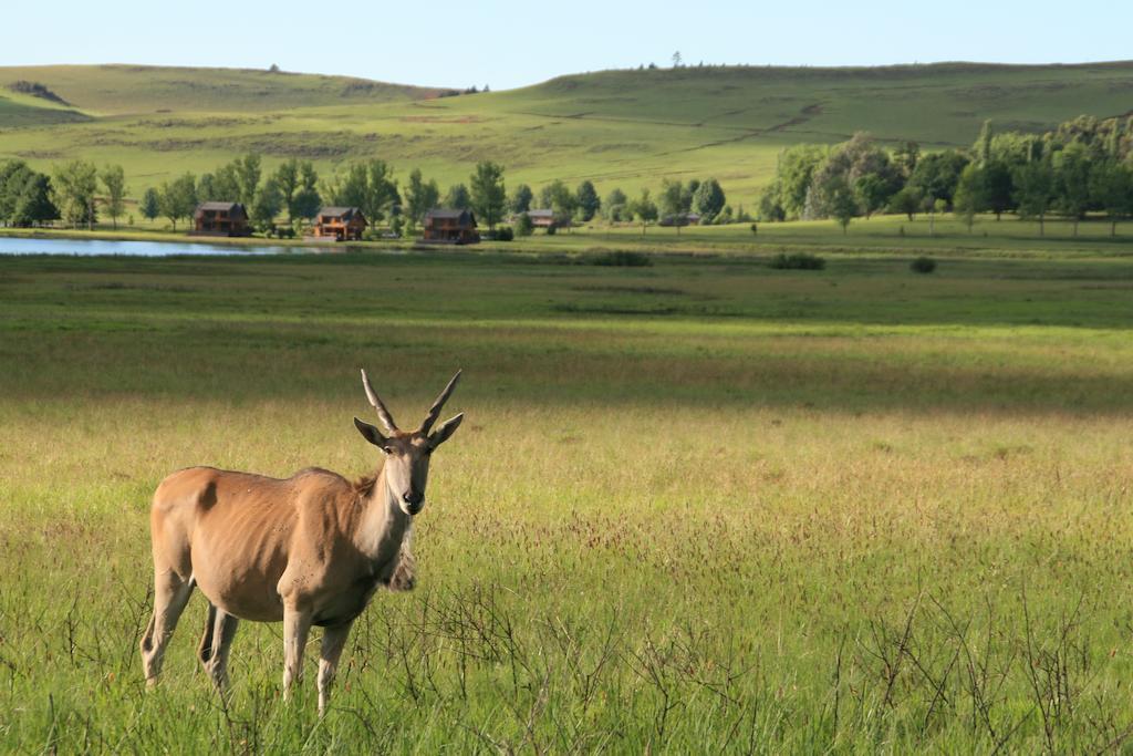 Sani Valley Nature Lodges Himeville Eksteriør bilde