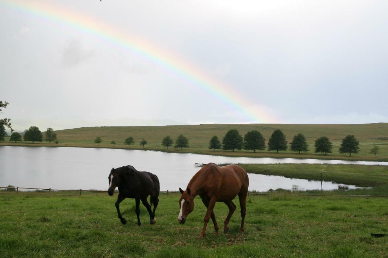 Sani Valley Nature Lodges Himeville Eksteriør bilde